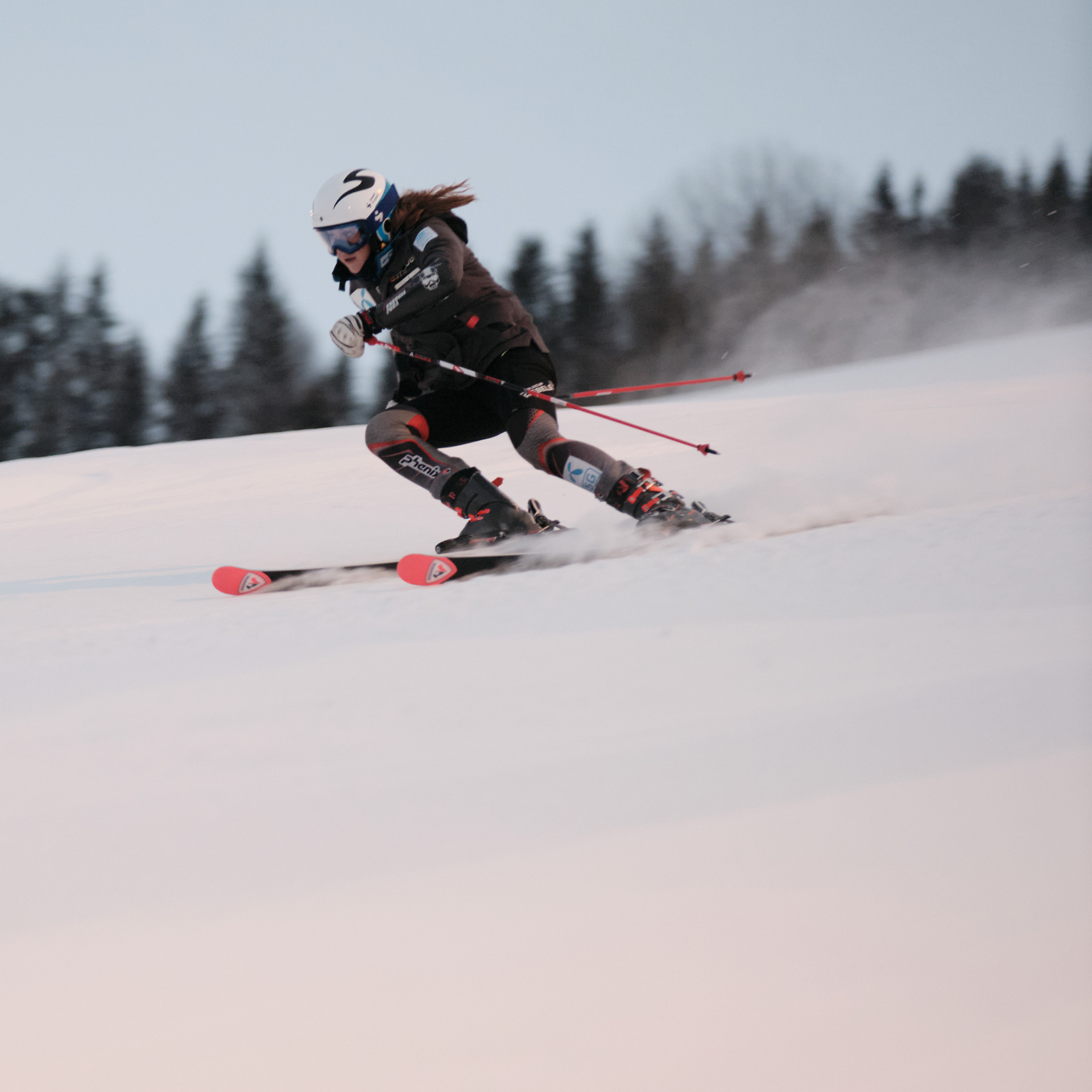 hafjell-active-trening-skikjoring
