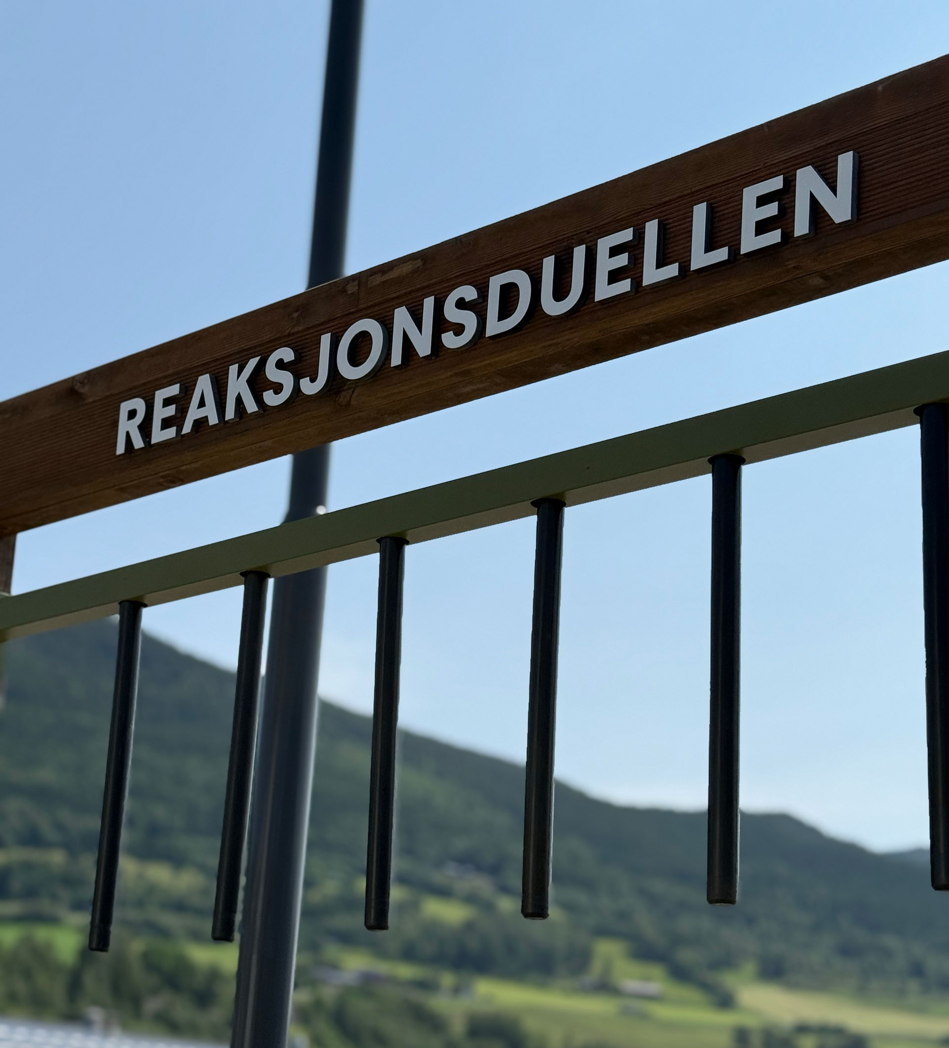 Reaksjonsduellen