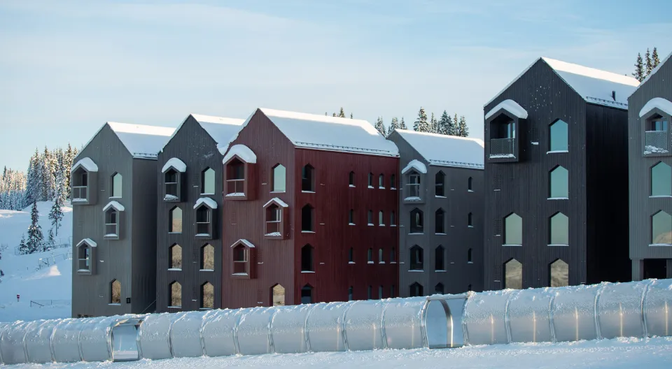 Favn i Hafjell