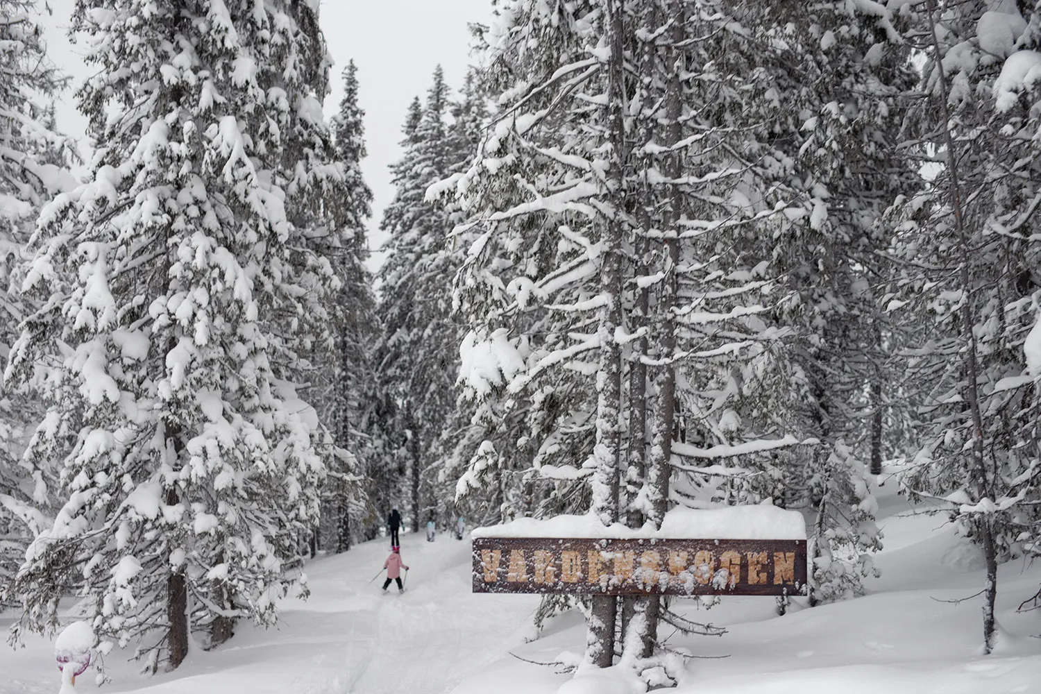 Vardenskogen i Kvitfjell.
