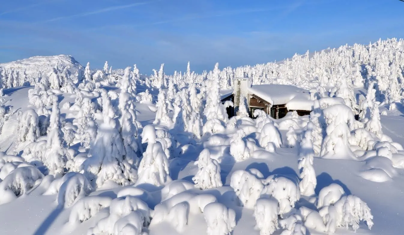 Koselig hytte Kvitfjell