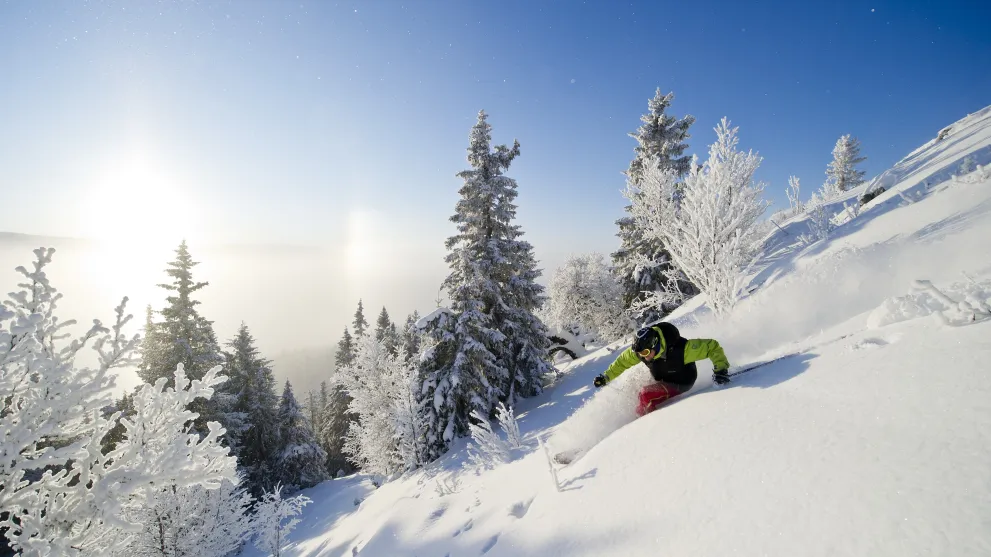 Kvitfjell
