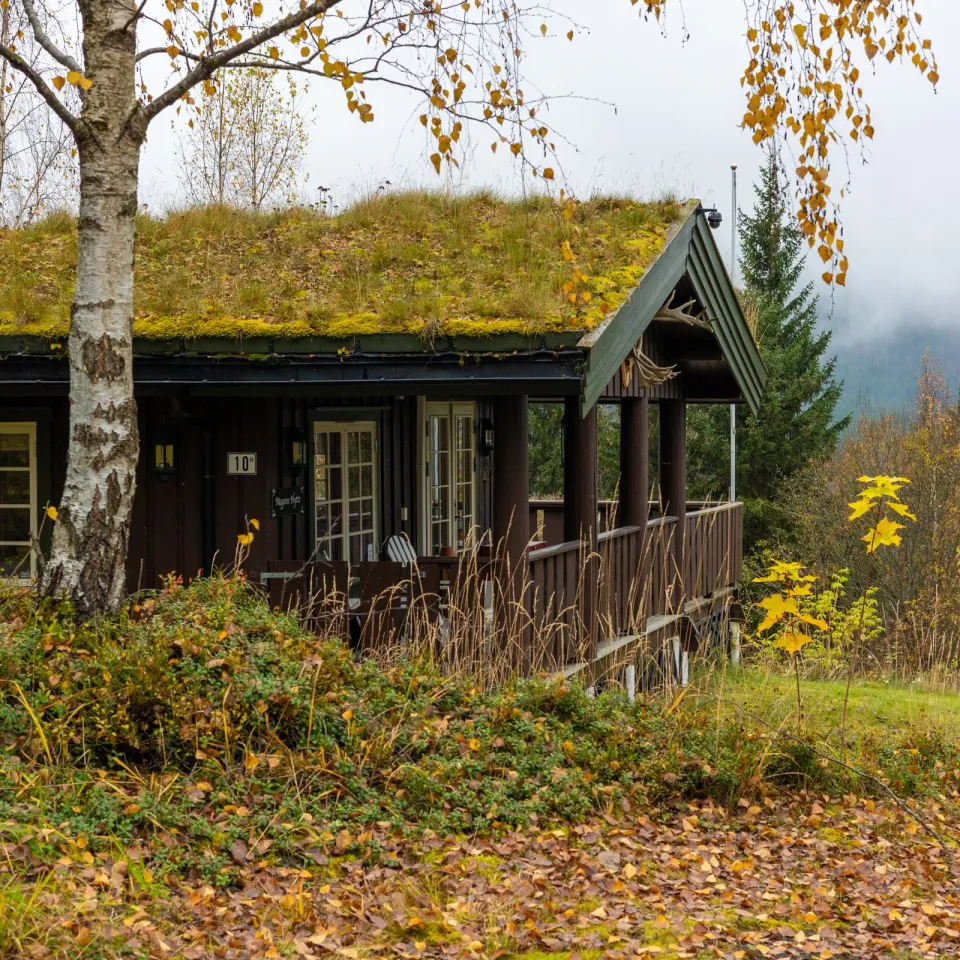 SØRLIA 10H