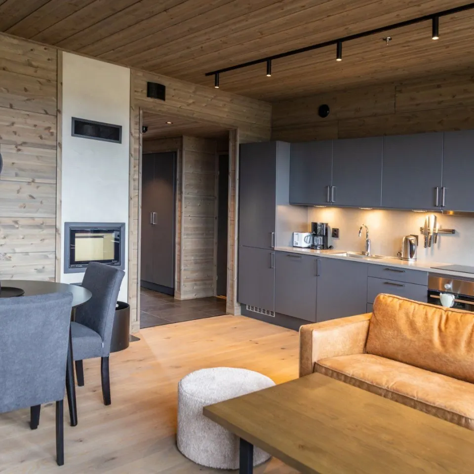 Mosetertoppen Skiline - 3-roms leilighet