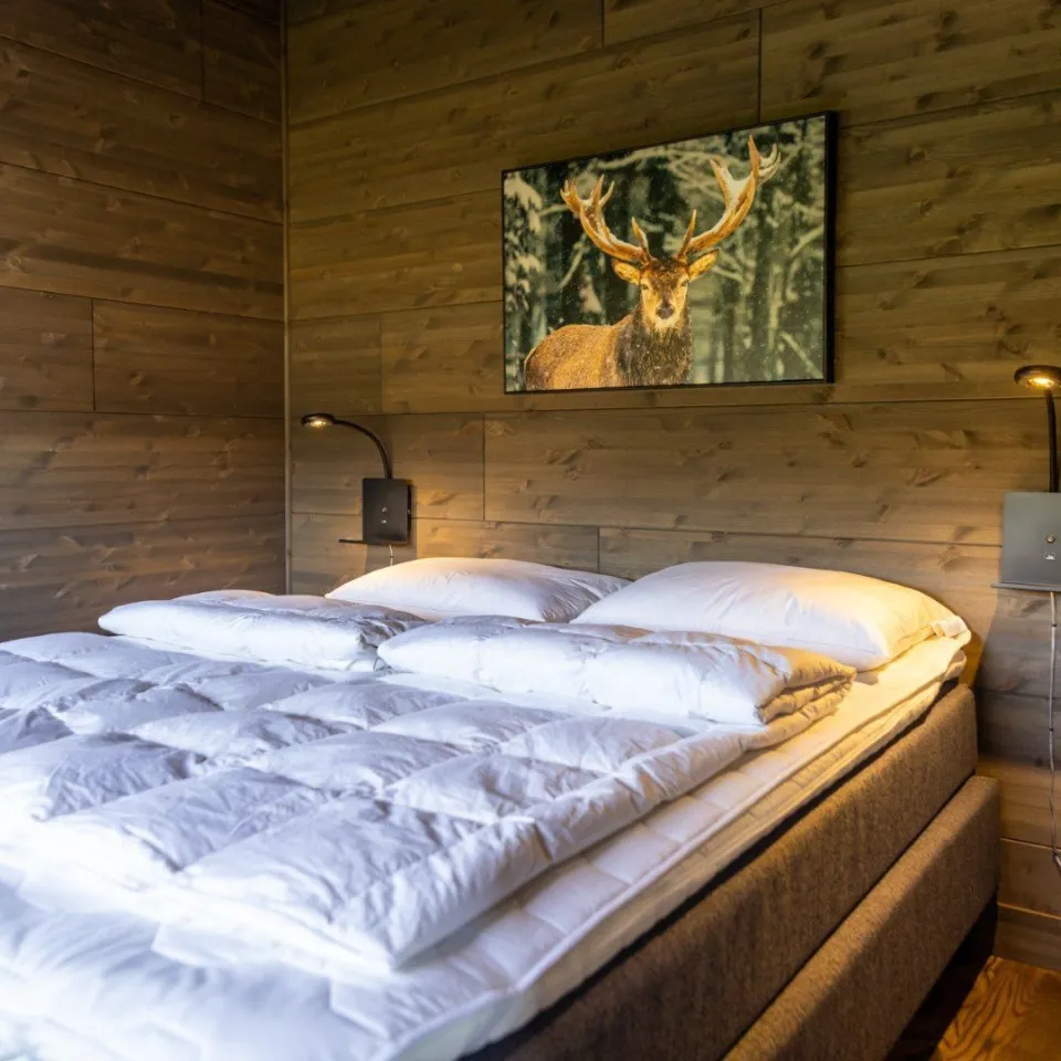 Mosetertoppen Skiline - 4-roms leilighet