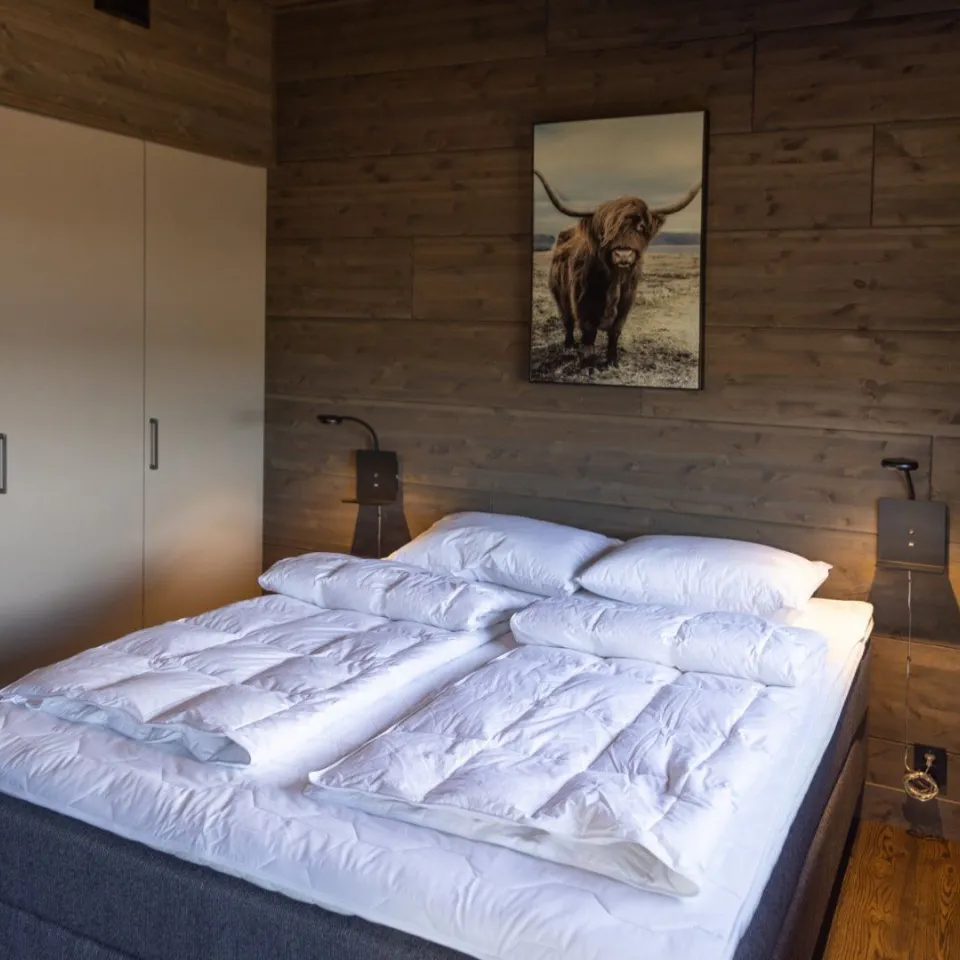 Mosetertoppen Skiline - 4-roms leilighet