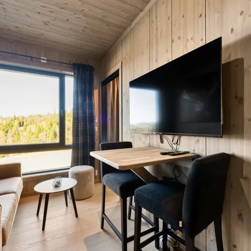 Mosetertoppen Skistadion - 2-roms leilighet