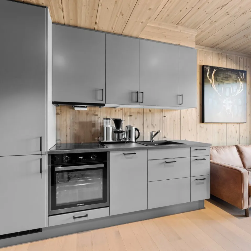 Mosetertoppen Skistadion - 2-roms leilighet