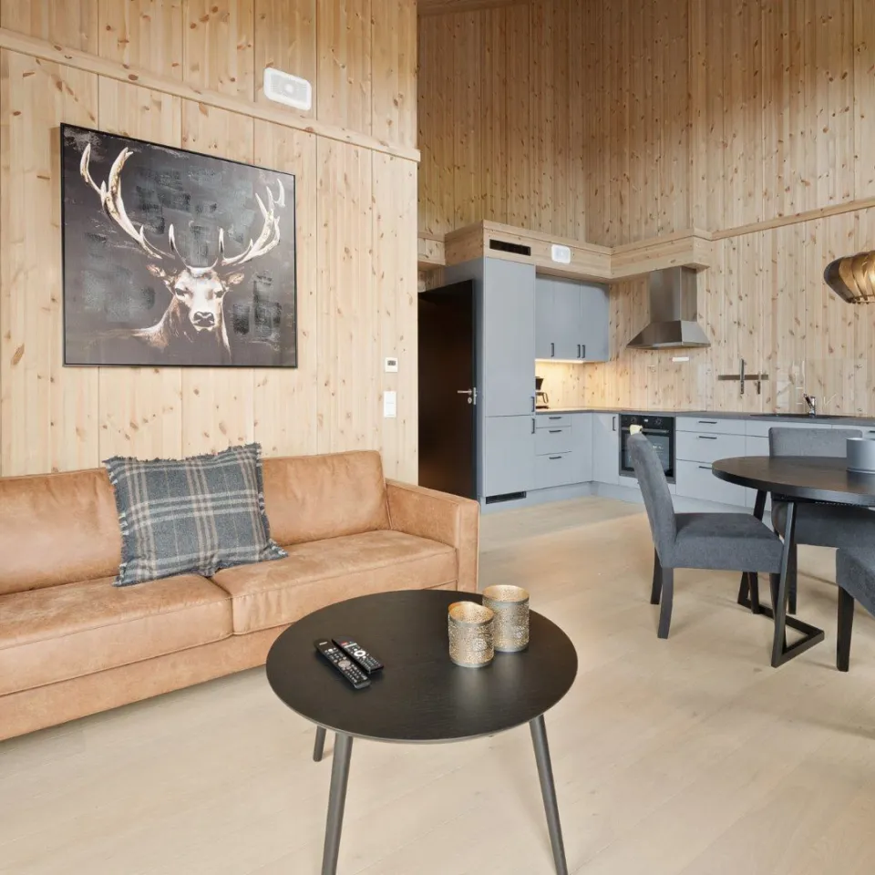 Mosetertoppen Skistadion - 3-roms leilighet