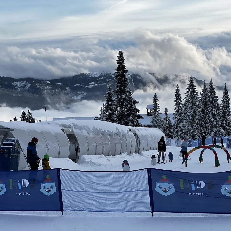 KVITFJELL ALPINGREND 8C