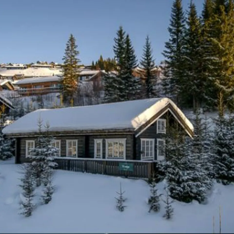 HAFJELL FJELLANDSBY 100