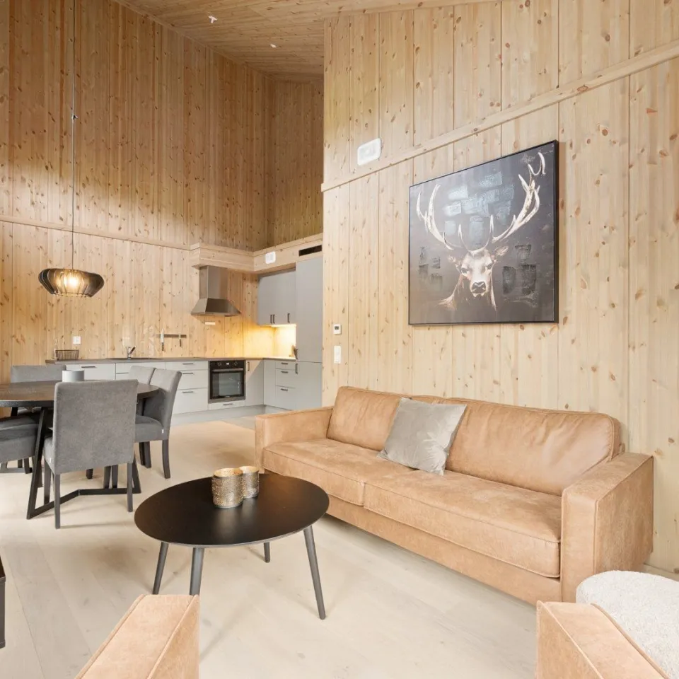 Mosetertoppen Skistadion - 4-roms leilighet+