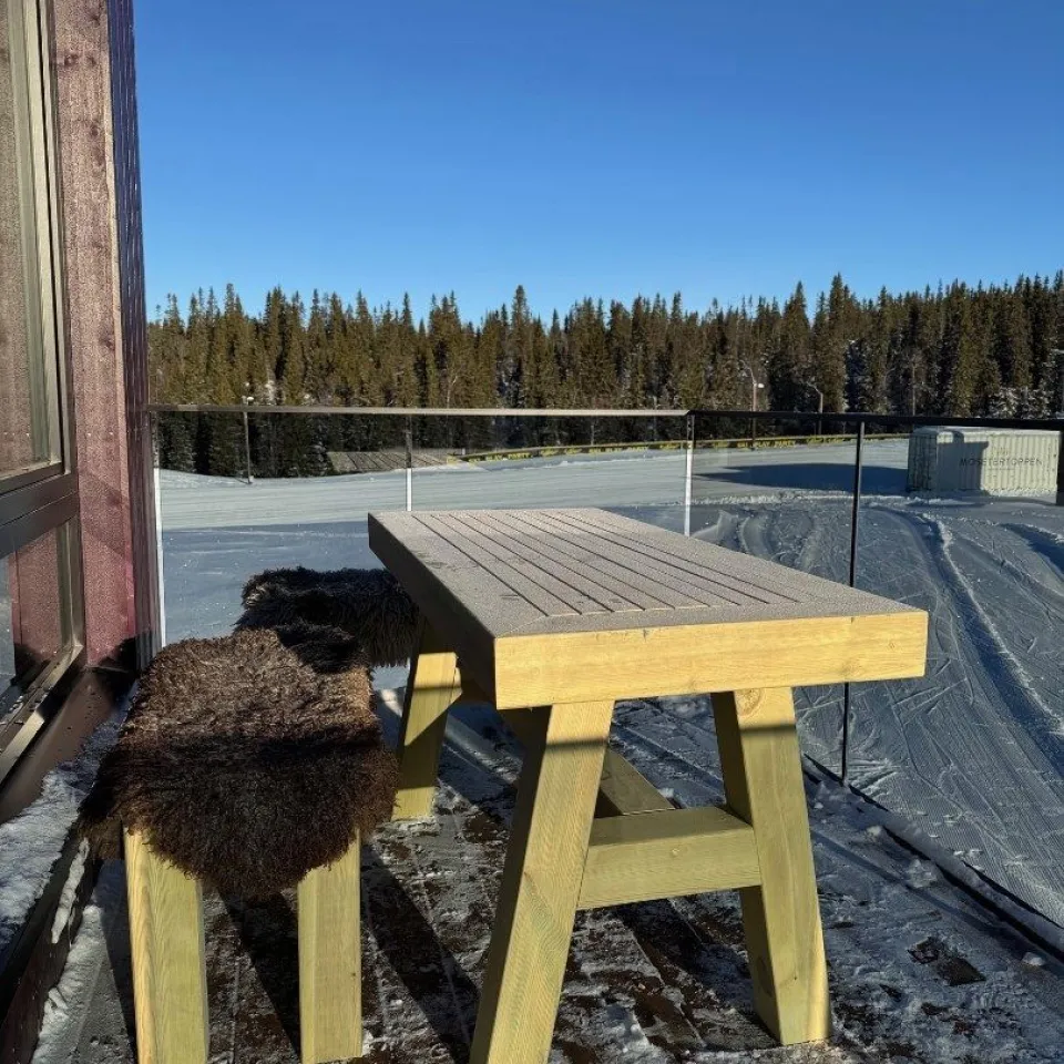 Mosetertoppen Skistadion - 1-roms leilighet