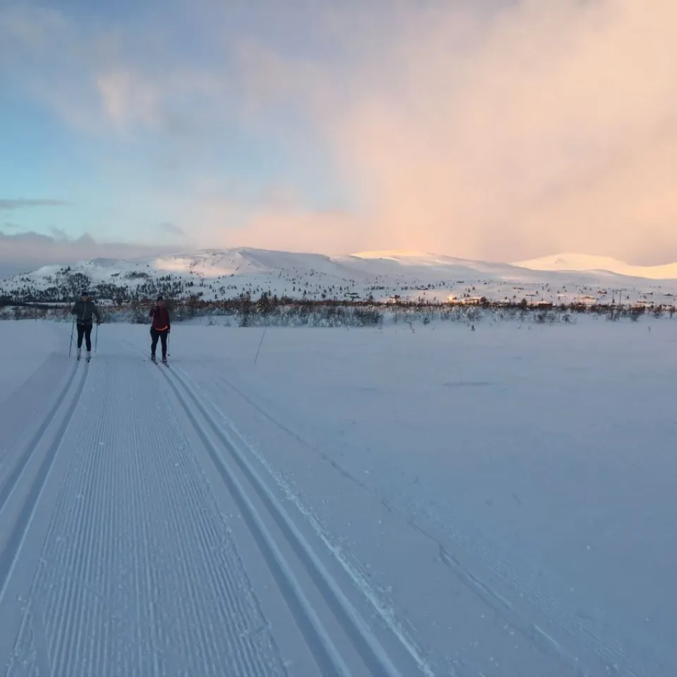 Guida tur i langrennsløypene