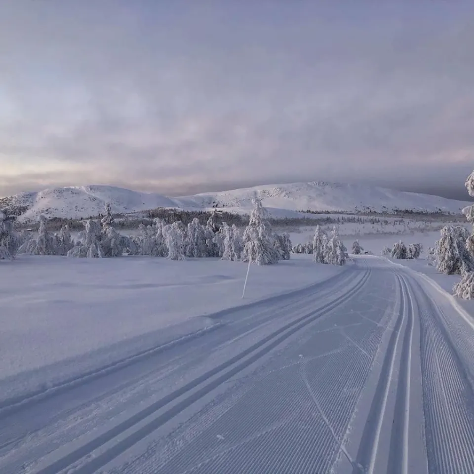 Langrennskurs skøyting