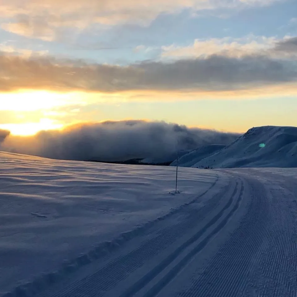 Guida tur i langrennsløypene