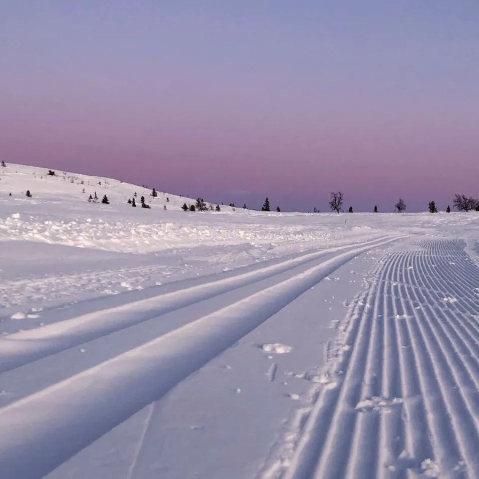 Langrennskurs skøyting