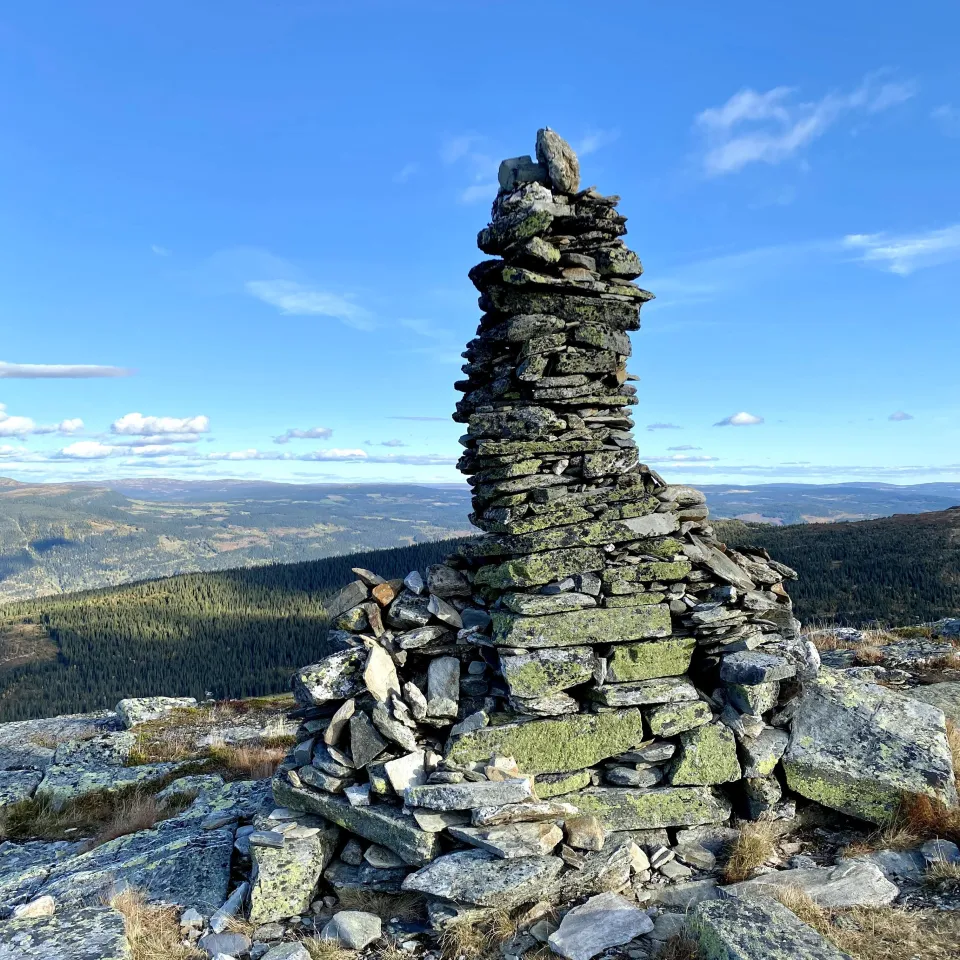 BJØNNLITJØNNVEGEN 45