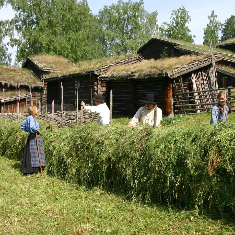 Maihaugen friluftsmuseum