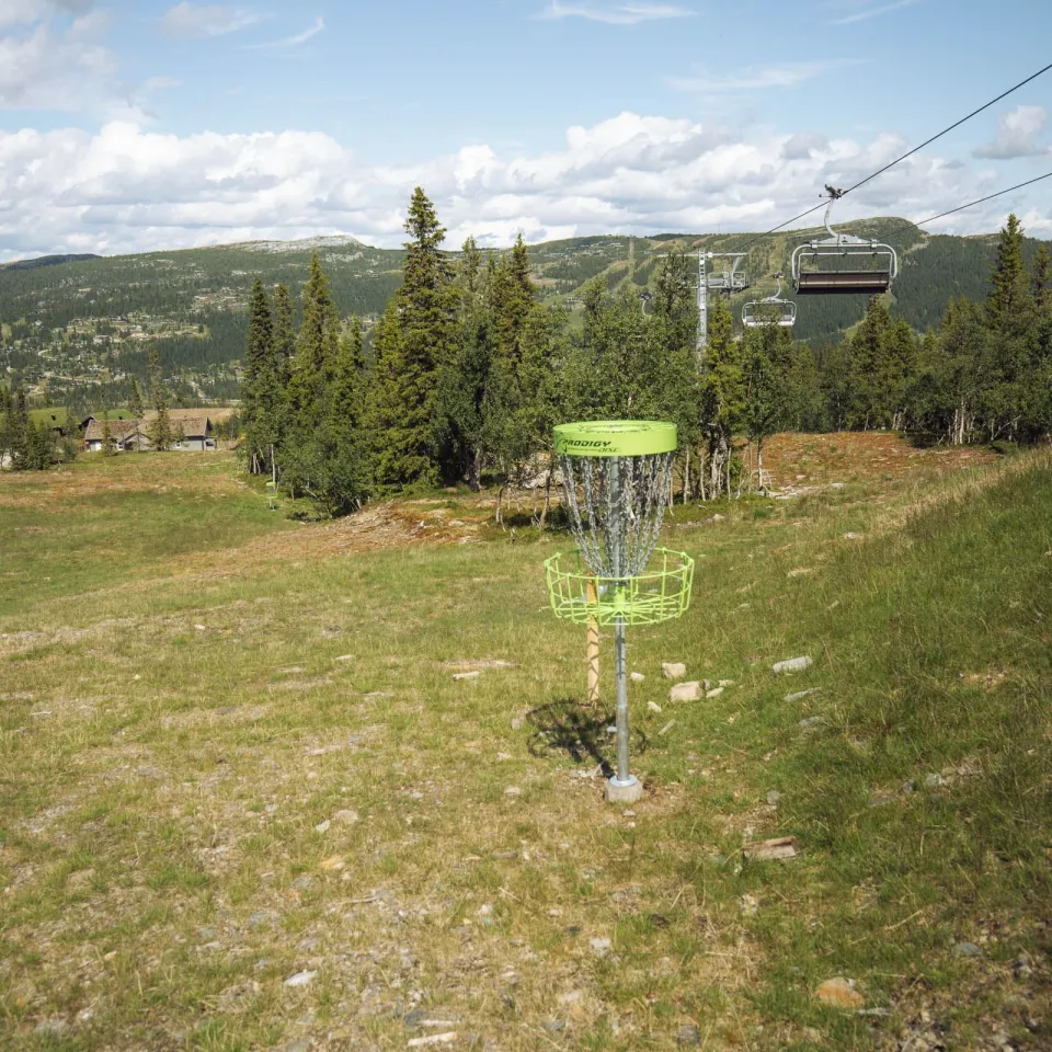 Discgolf – Varden Top