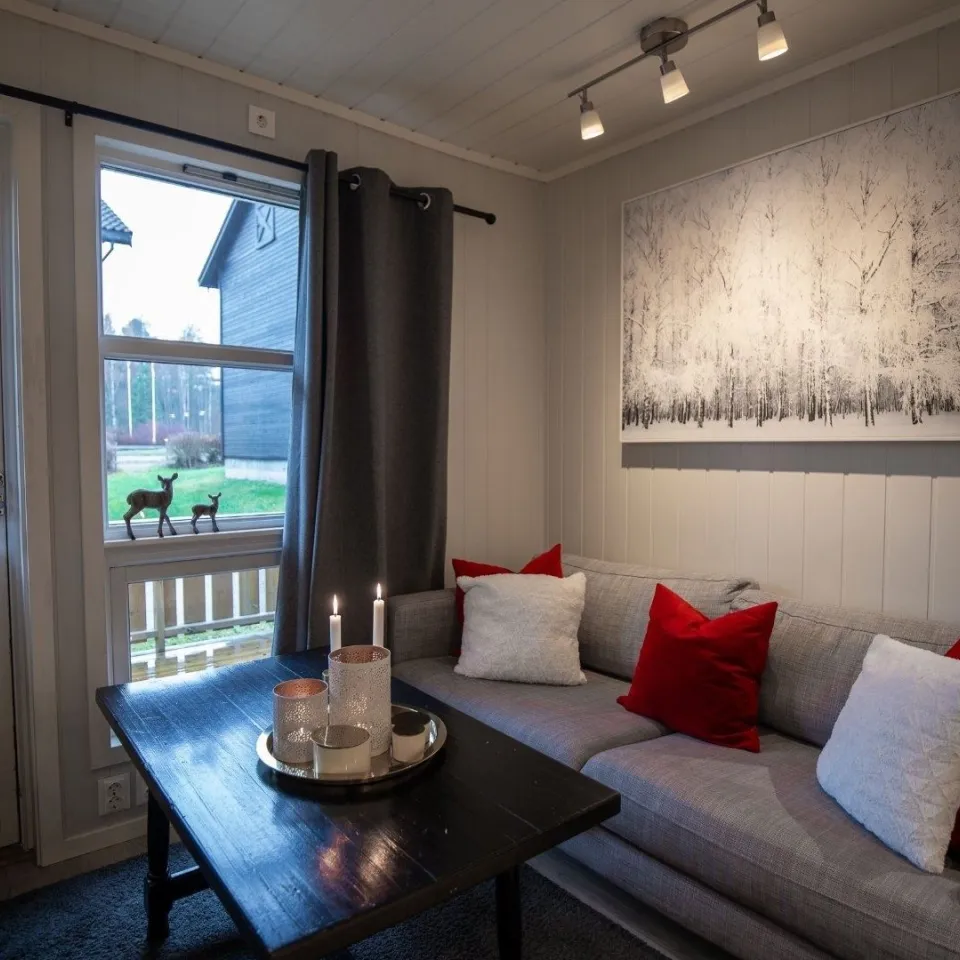 HAFJELL ALPINLANDSBY 24