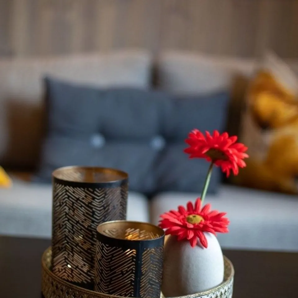 HAFJELL ALPINLANDSBY 22