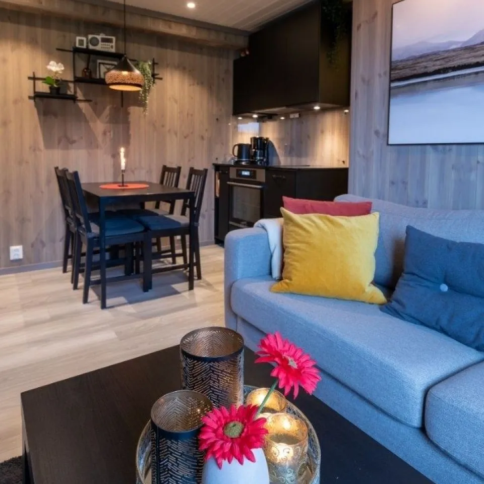 HAFJELL ALPINLANDSBY 22