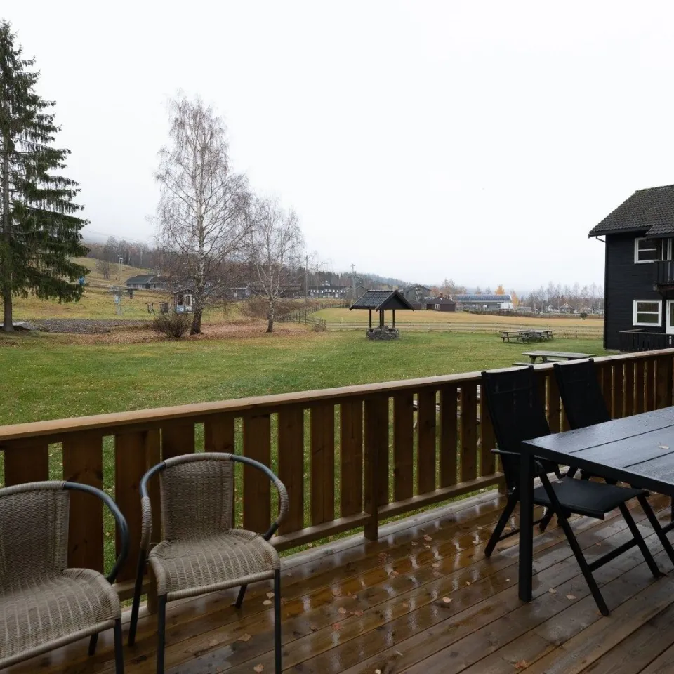 HAFJELL ALPINLANDSBY 22