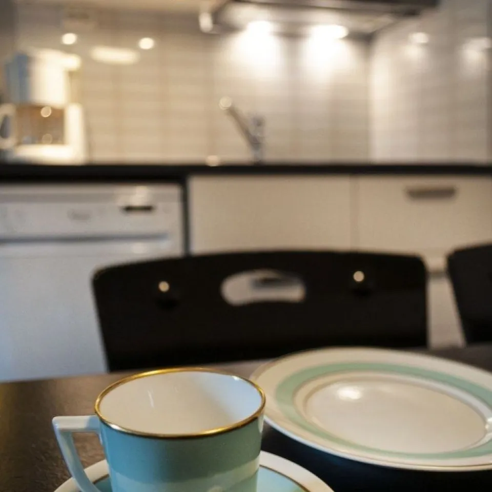 HAFJELL ALPINLANDSBY 44