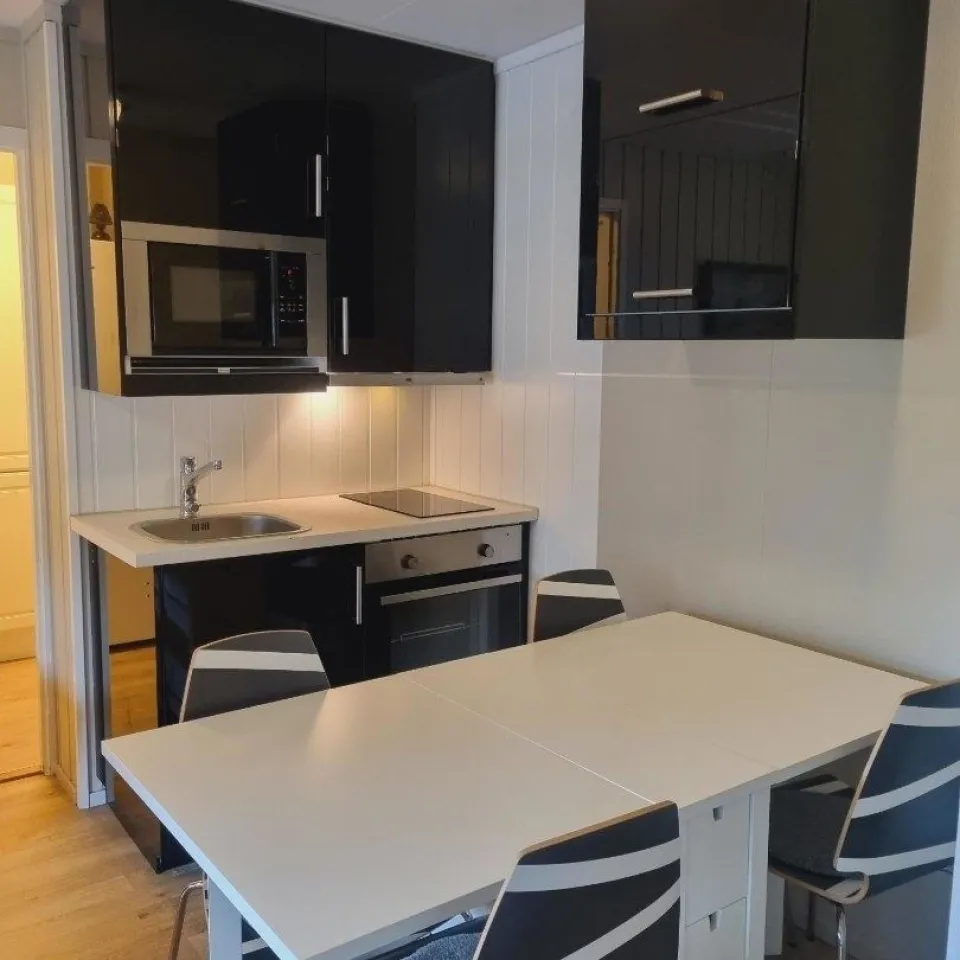 HAFJELL ALPINLANDSBY 48