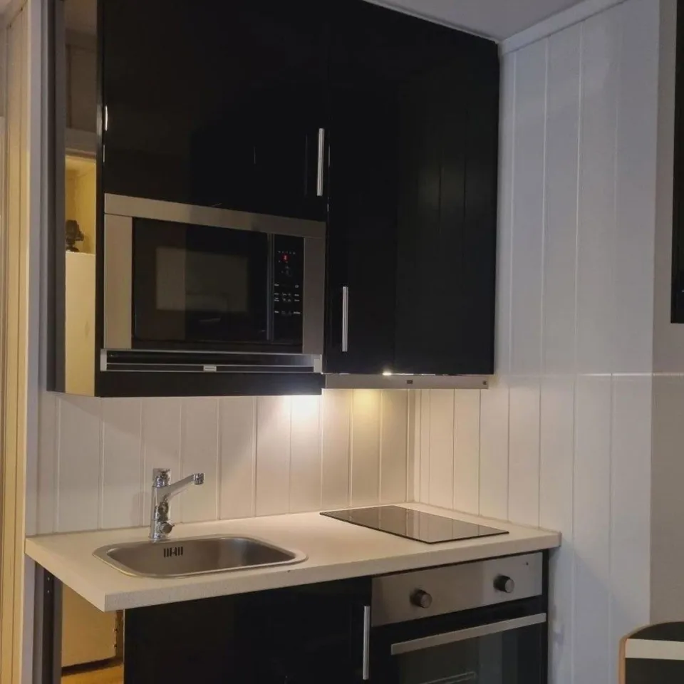 HAFJELL ALPINLANDSBY 48