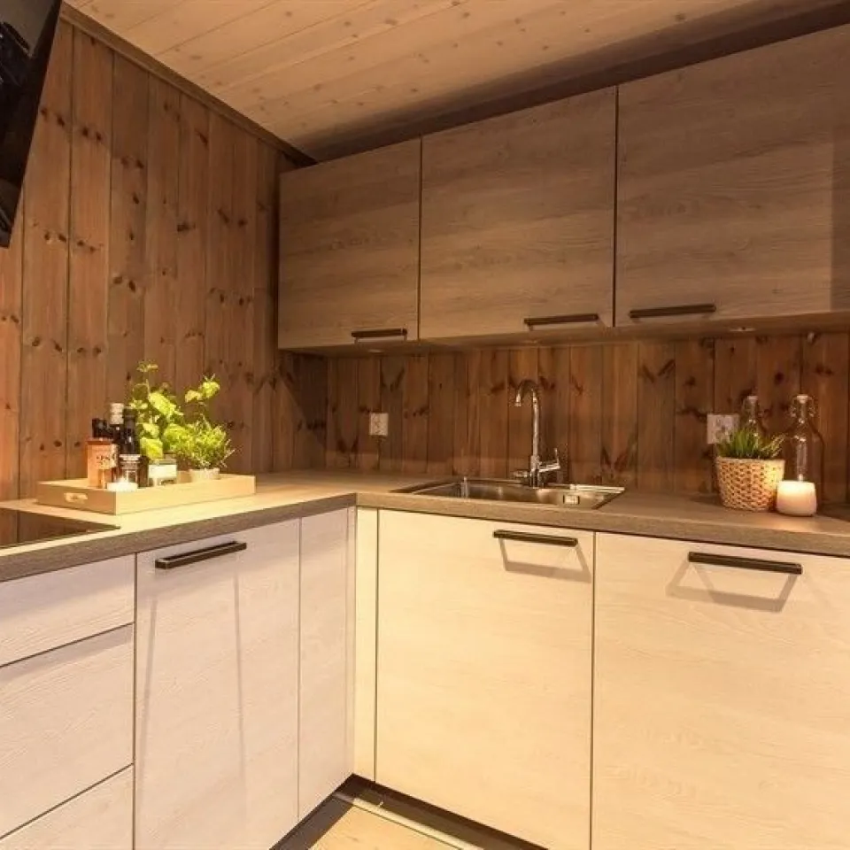 HAFJELL FJELLANDSBY 218