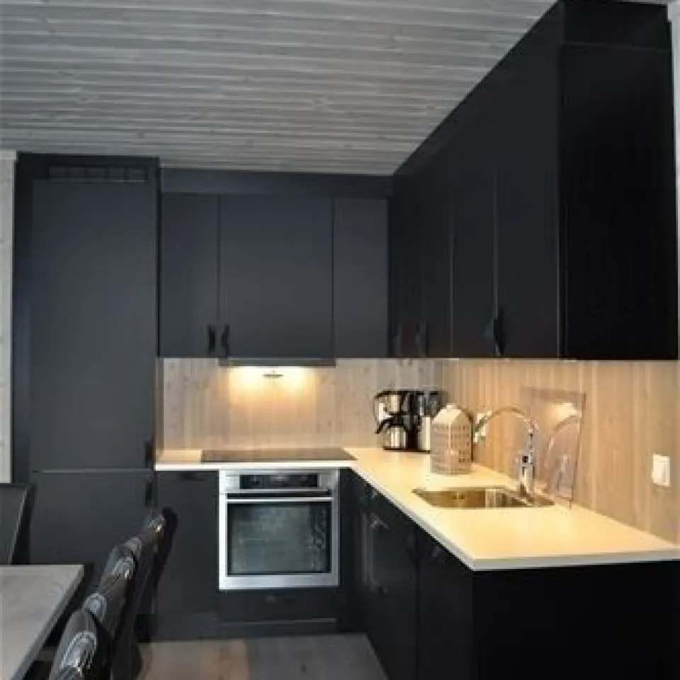 HAFJELL FJELLANDSBY 220