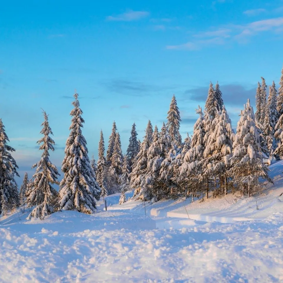 BJØRGEFALLET 109 ANNEKS