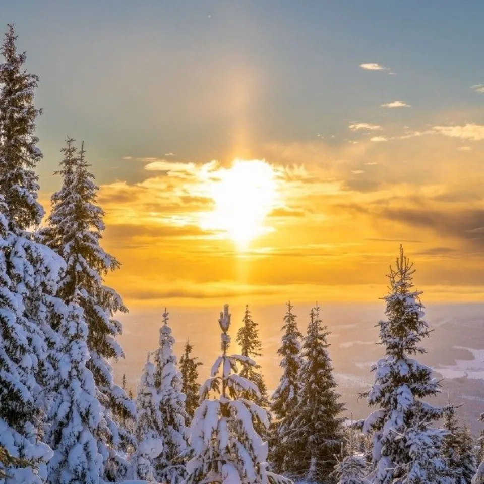 BJØRGEFALLET 109 ANNEKS