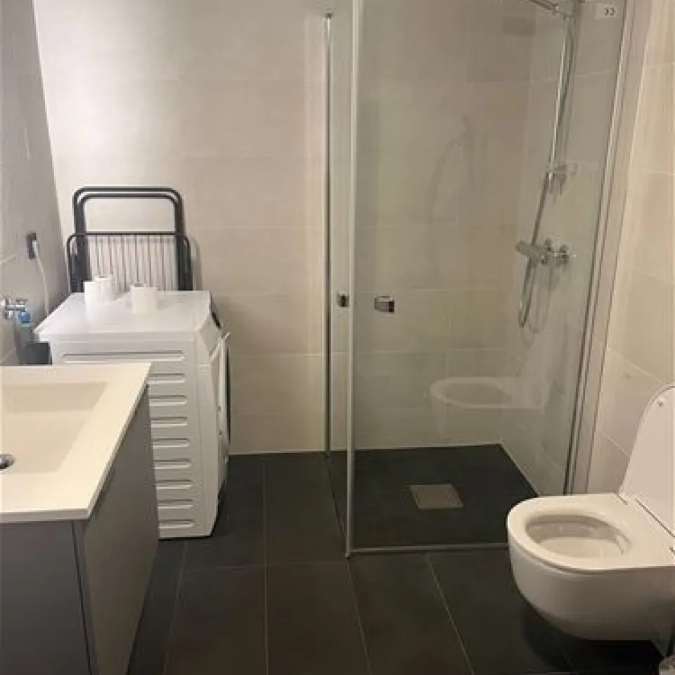 MOSETERTOPPEN BACKYARD 96C