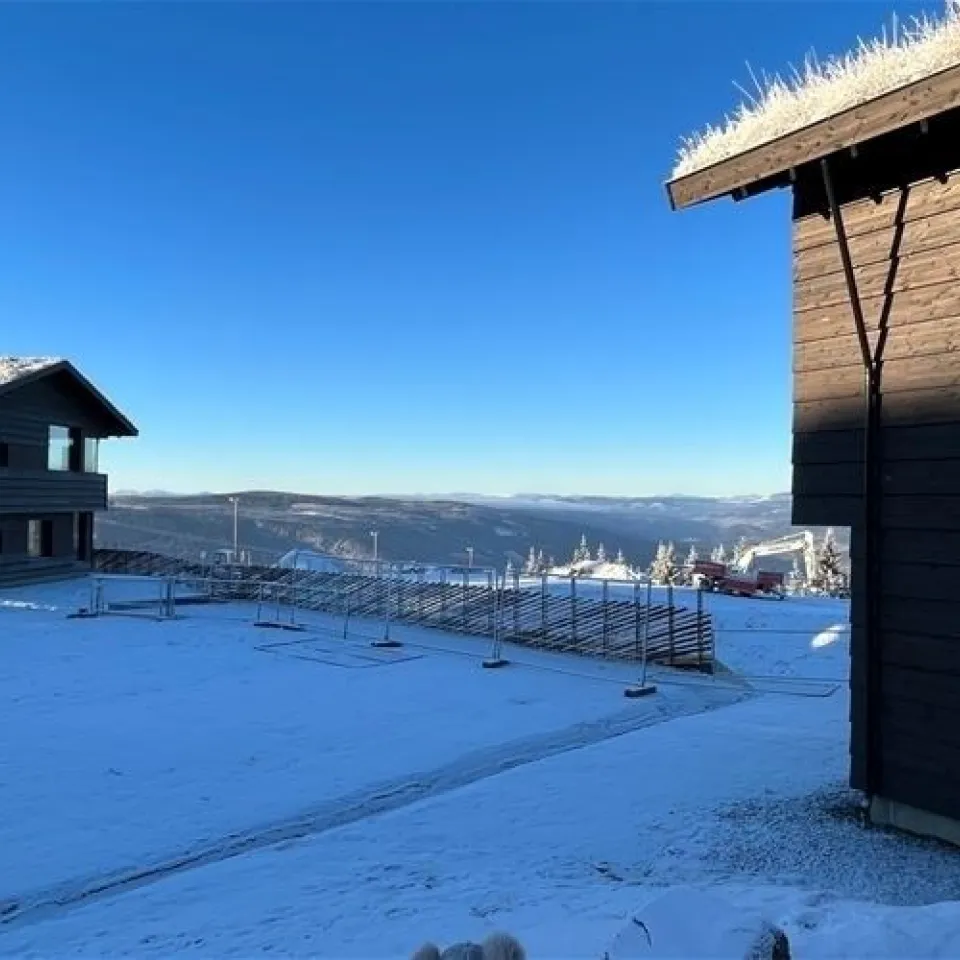 MOSETERTOPPEN BACKYARD 96C