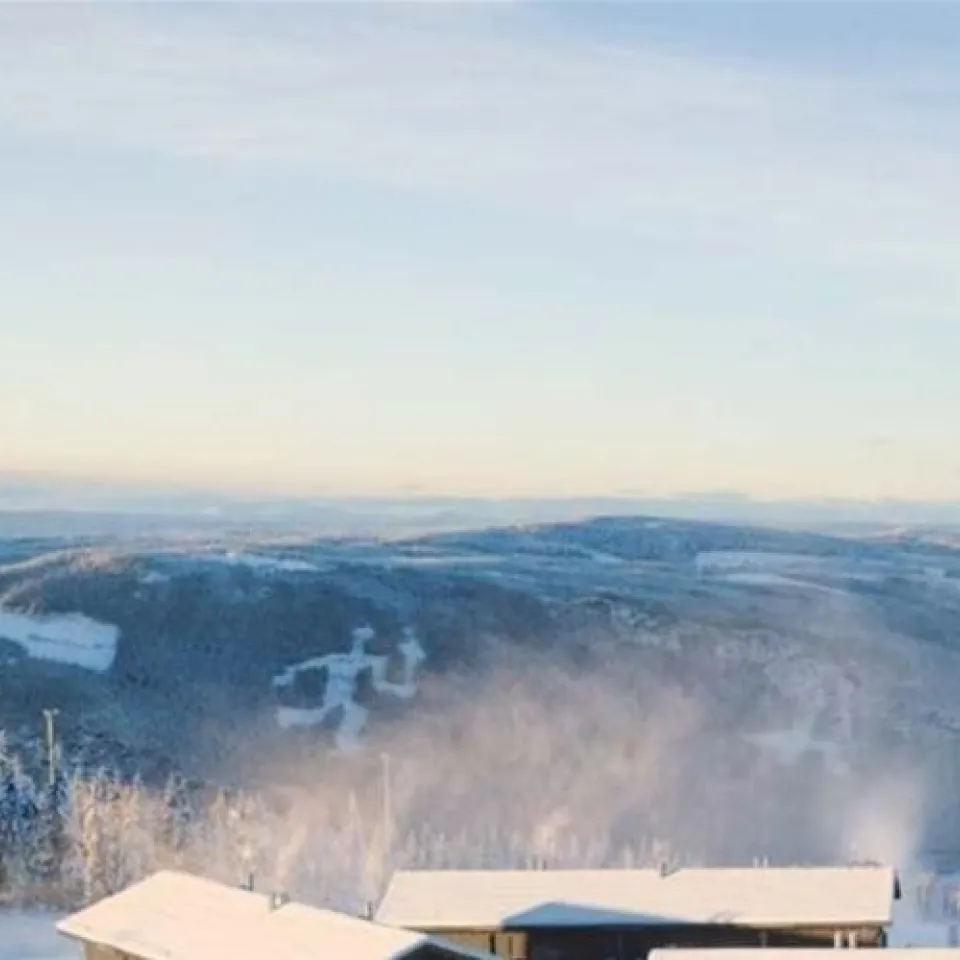 MOSETERTOPPEN BACKYARD 96C