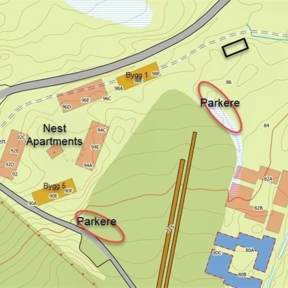 MOSETERTOPPEN BACKYARD 96C