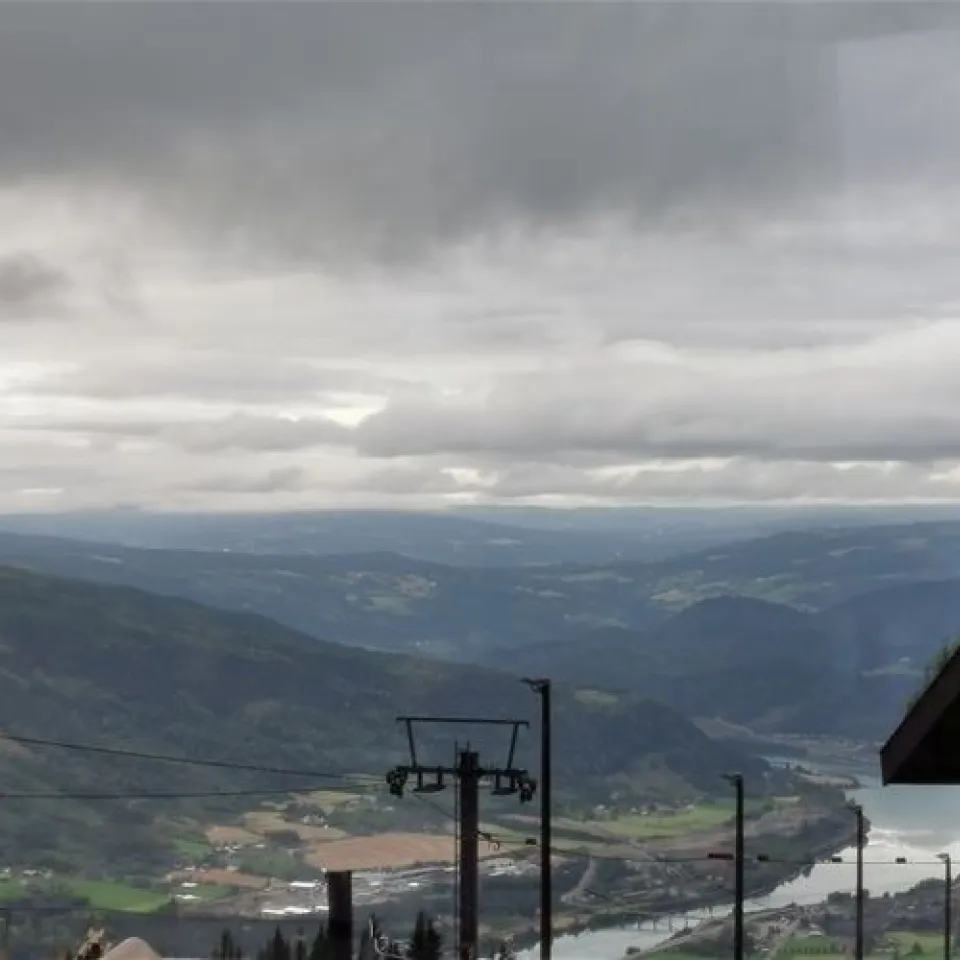 MOSETERTOPPEN BACKYARD 96C