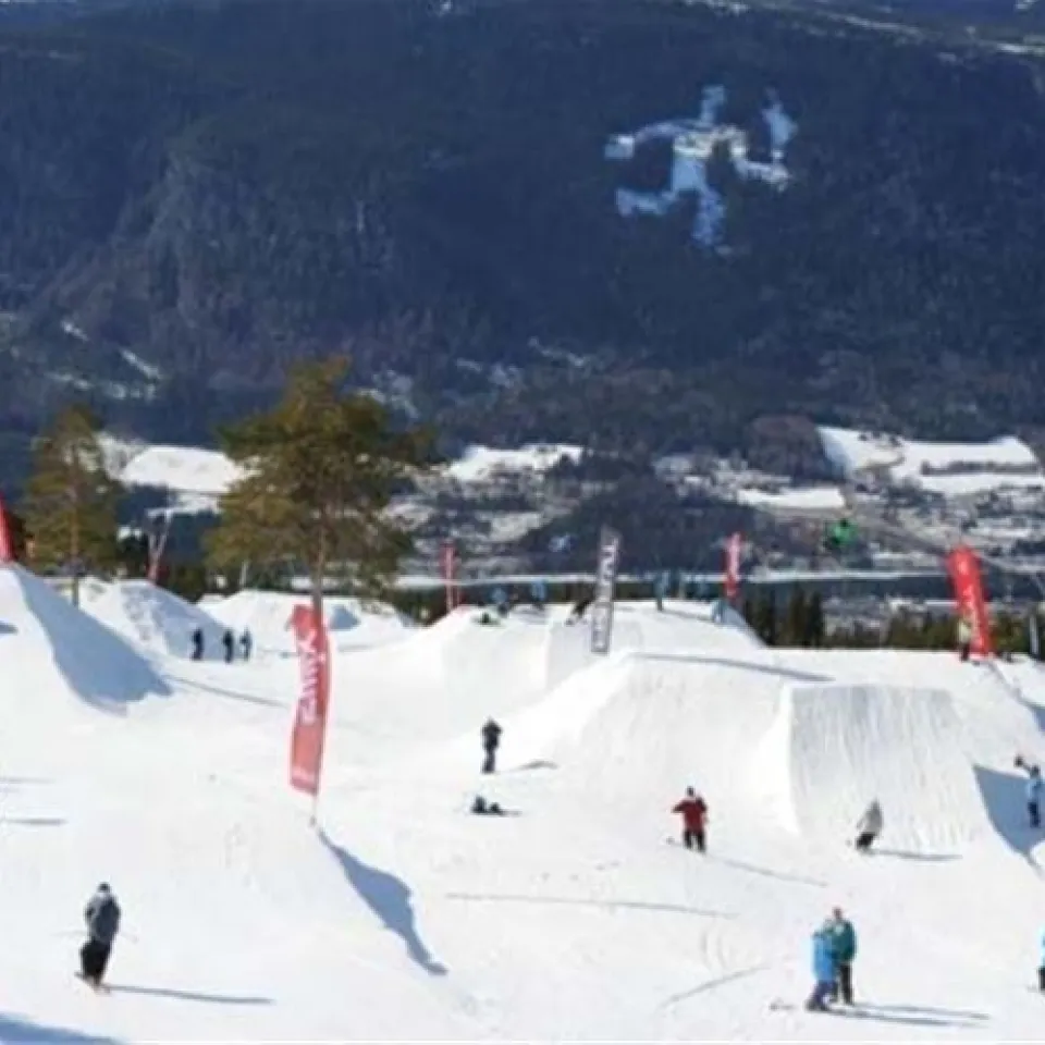 MOSETERTOPPEN BACKYARD 98D