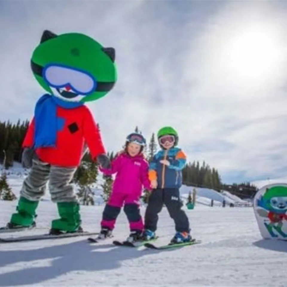 MOSETERTOPPEN BACKYARD 98D