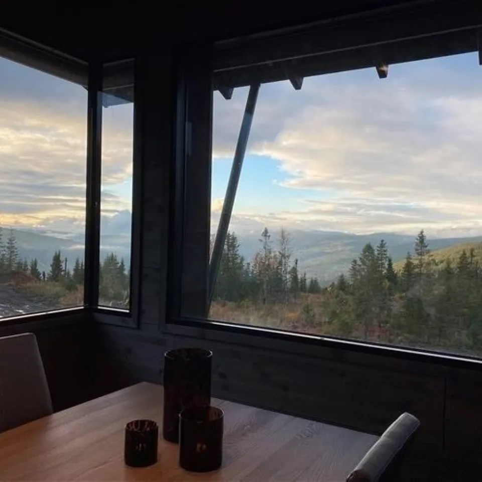 MOSETERTOPPEN BACKYARD 98D