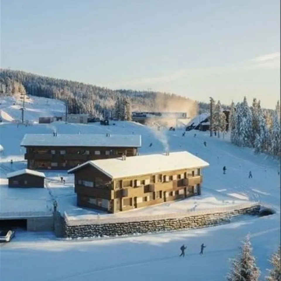 MOSETERTOPPEN BACKYARD 98D