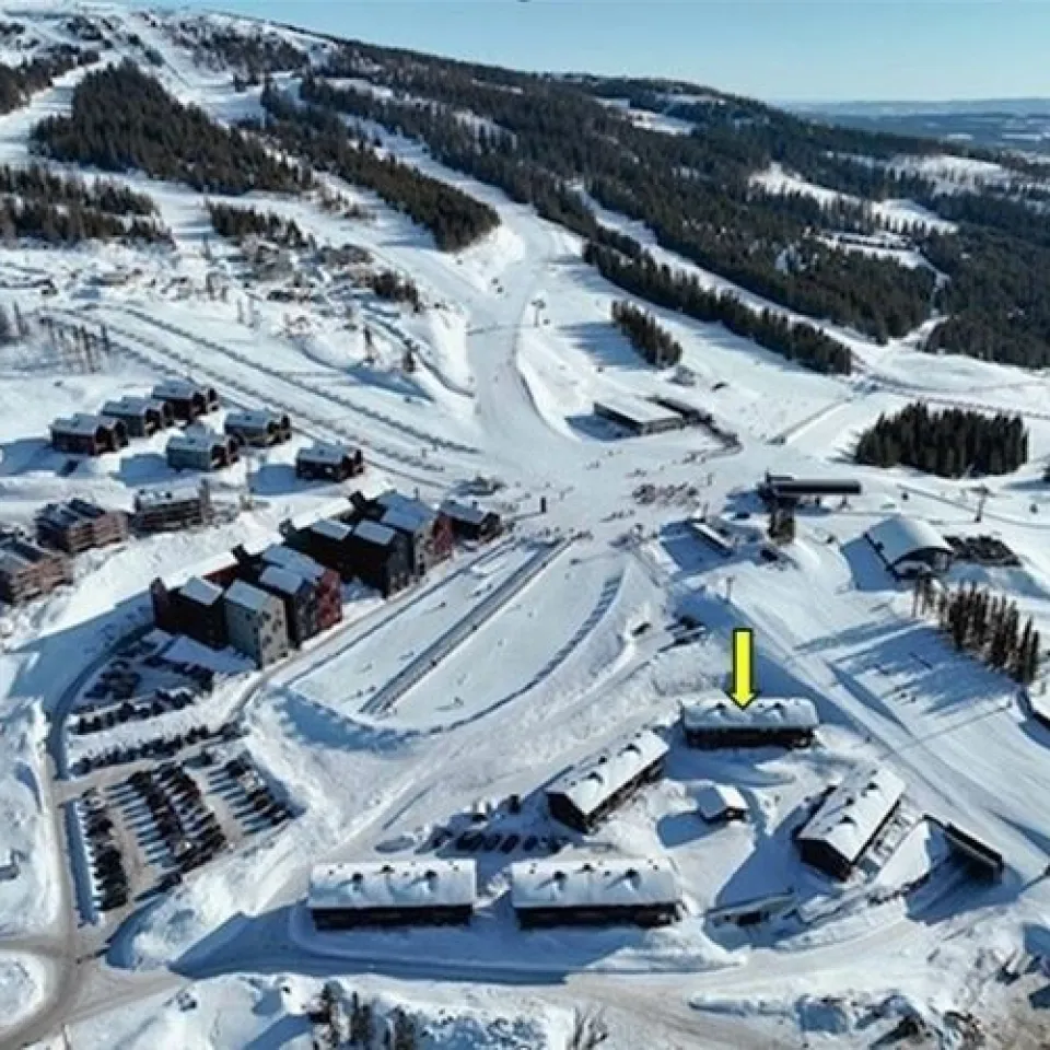 MOSETERTOPPEN BACKYARD 90C