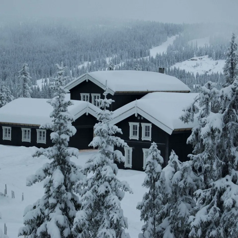 BJØNNLITJØNNVEGEN 17A