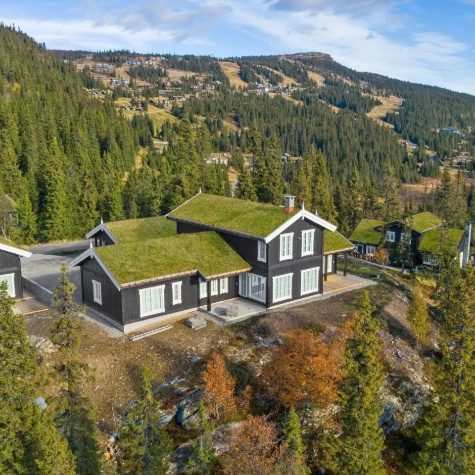 BJØNNLITJØNNVEGEN 17A