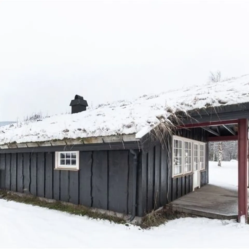 KVITFJELLTUNET 21