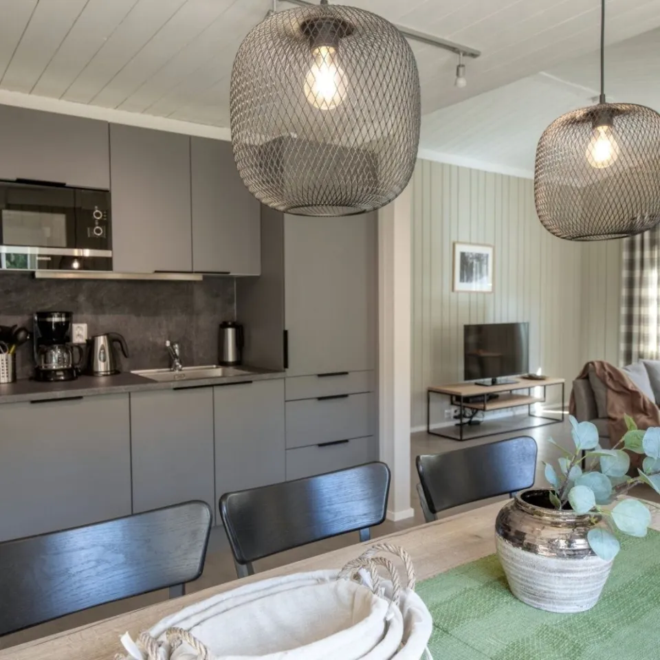 GUDBRANDSGARD HYTTEGREND 1