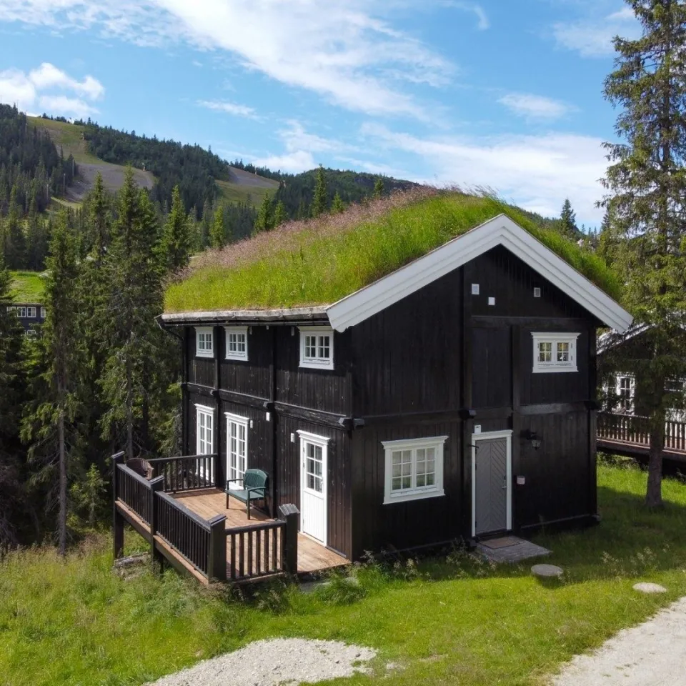 GUDBRANDSGARD HYTTEGREND 2